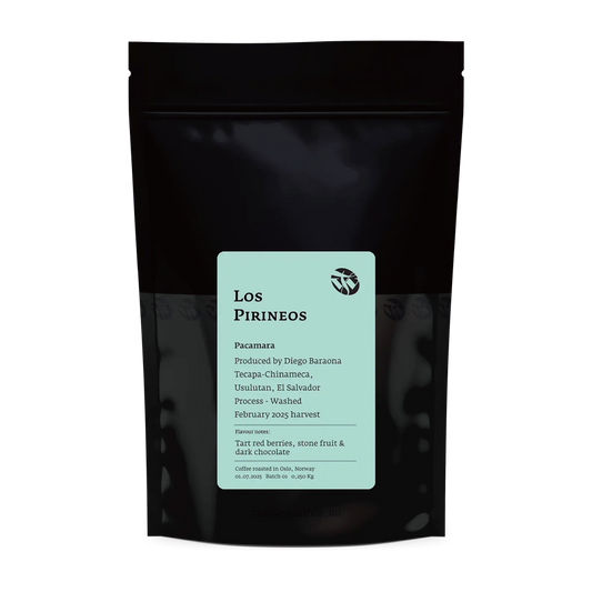 Los Pirineos Pacamara
