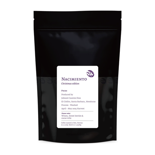 Nacimiento Pacas - Christmas Edition